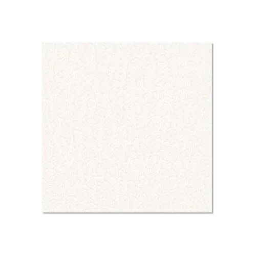 ah Hardware 0491 G – Birkensperrholz kunststoffbeschichtet mit Gegenzugfolie weiß 9,4 mm