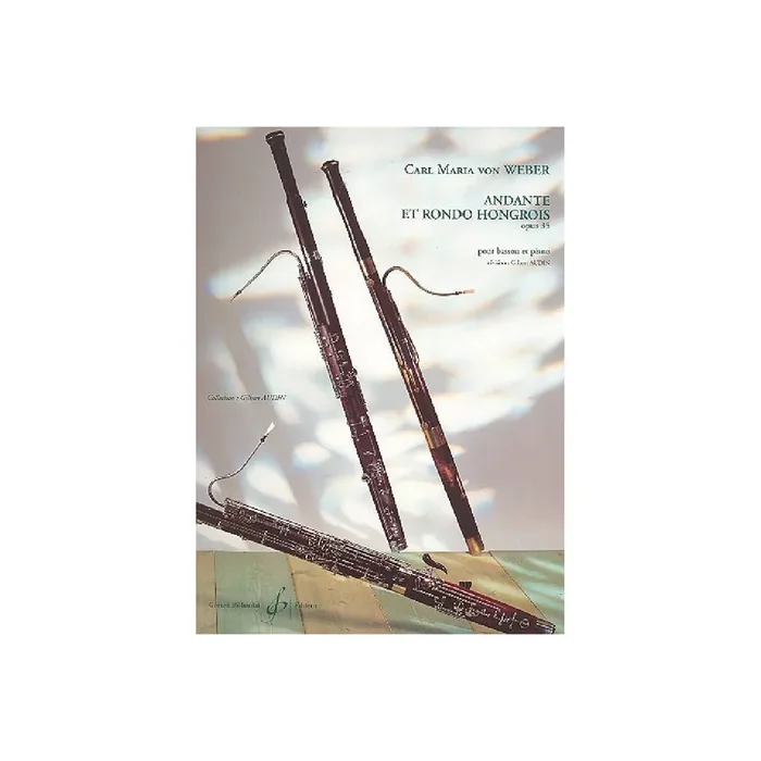 Andante et rondo hongrois op.35 pour