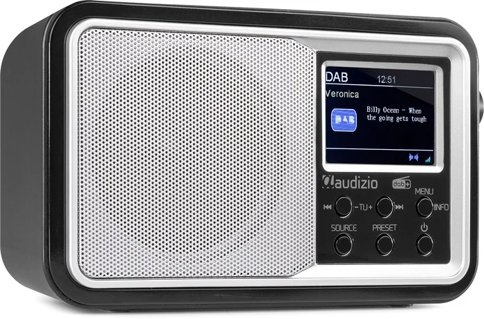 Audizio Parma Tragbares DAB+ Radio Silber