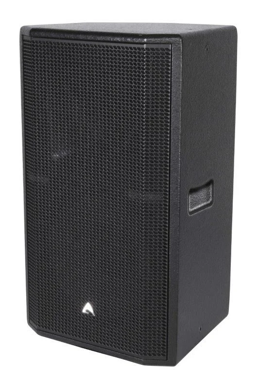 Axiom ED120P passiv PA Lautsprecher