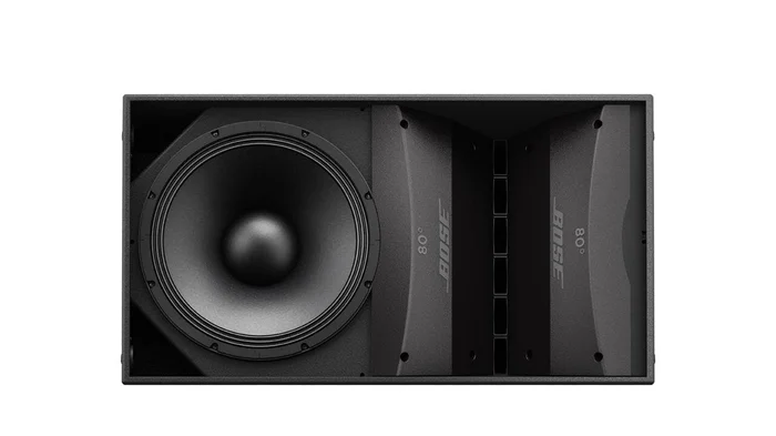 Bose ArenaMatch AM20/80 Outdoor Lautsprecher – einzeln