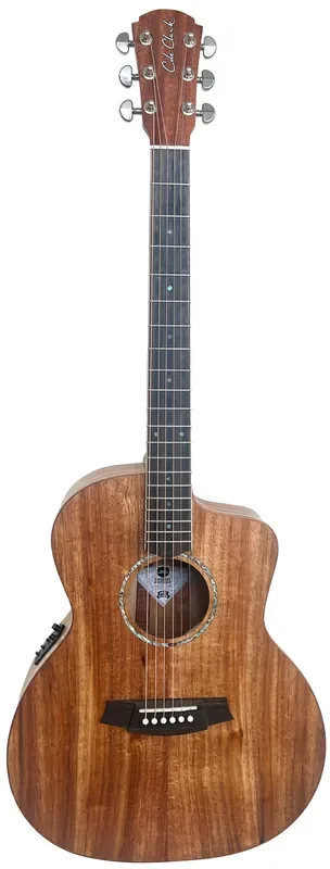 Cole Clark SAN1EC-BLBL