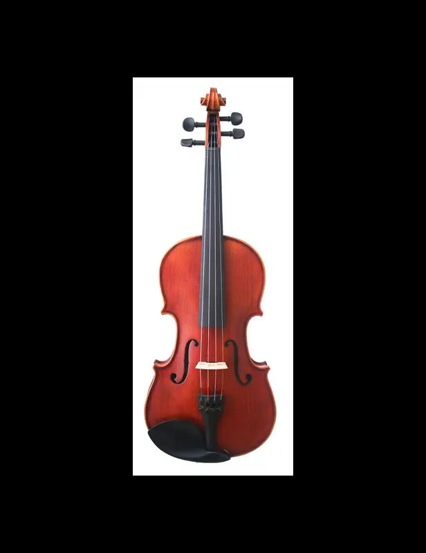 copy of Friedmann 4/4 violín montado por Luthier