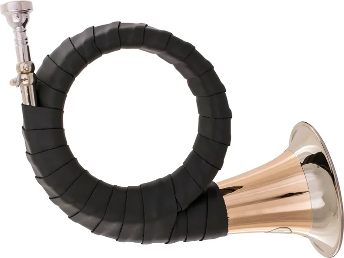 Dotzauer 8825 Fürst-Plesshorn Goldmessing