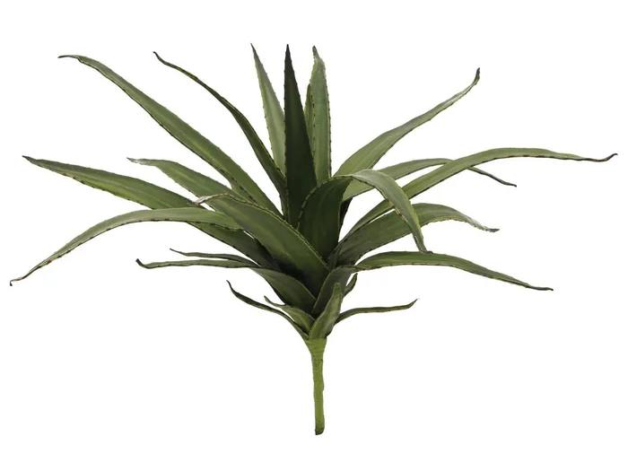 Europalms Aloe (EVA), grün, 50cm – Kunstpflanze