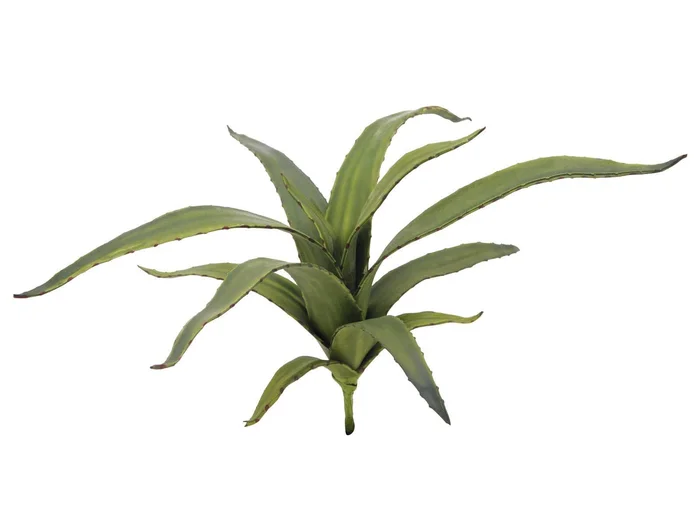 Europalms Aloe (EVA), grün, 66cm – Kunstpflanze