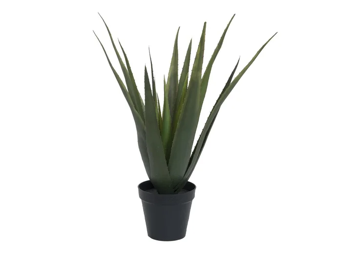 Europalms Aloe-Vera Pflanze, 60cm – Kunstpflanze