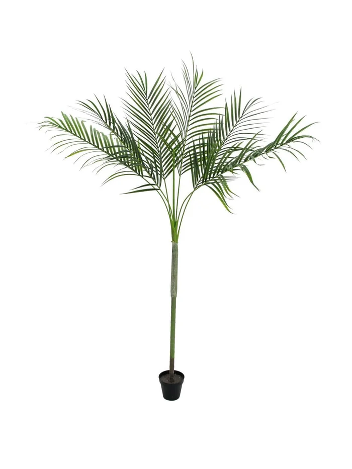 Europalms Areca deluxe, 180cm – Kunstpflanze