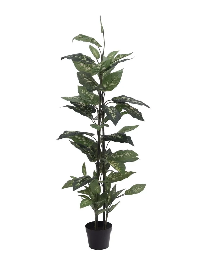Europalms Dieffenbachia, 120cm – Kunstpflanze