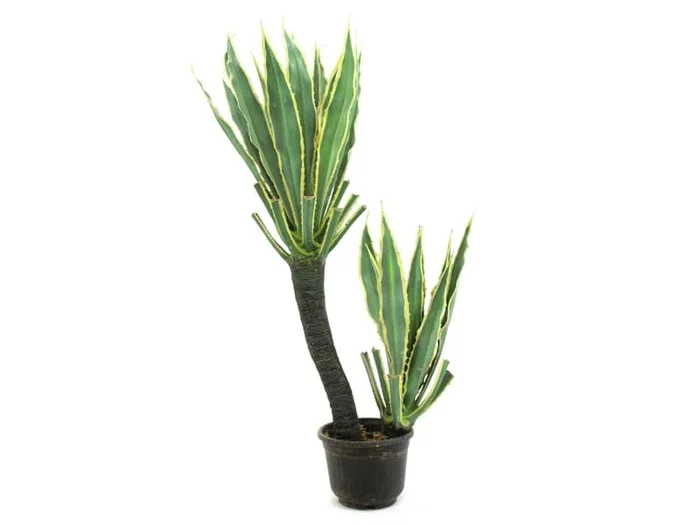 EUROPALMS Orchideen-Kaktus, 160cm Kunstpflanze