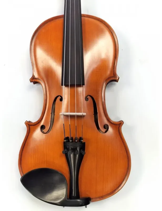 GLIGA GENIAL I violín 1/4 montado luthier