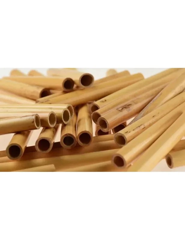 GLOTIN CAÑA EN TUBO