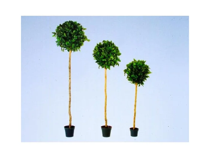 Lorbeerkugelbaum mit 900 Blättern180cm