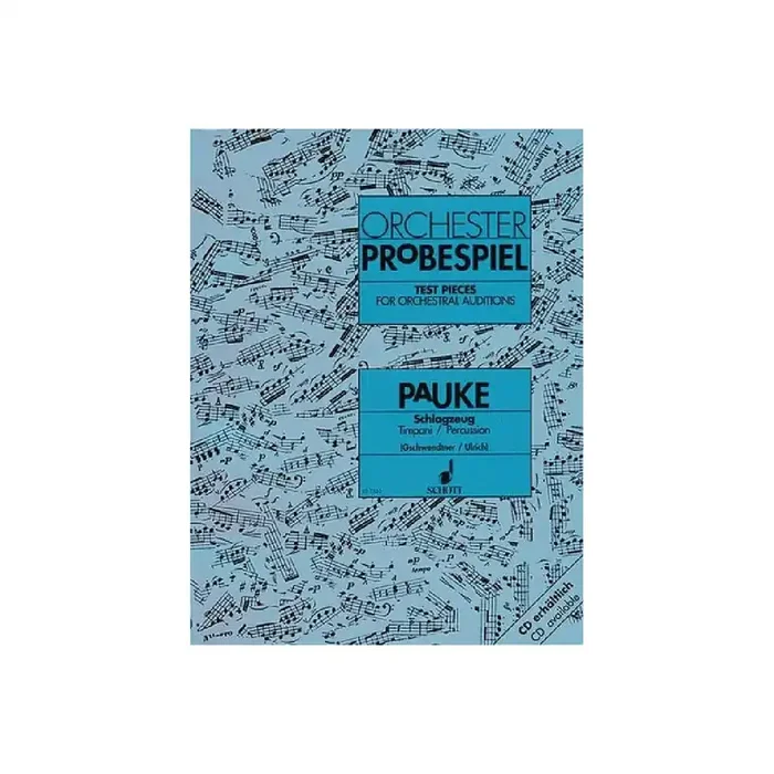 Orchester Probespiel