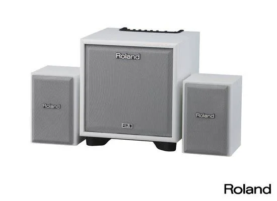 Roland Cube CM-110 weiß
