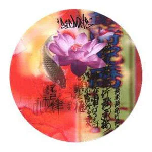 Slipmats Sicmats Koi Fish (Doppelpack)