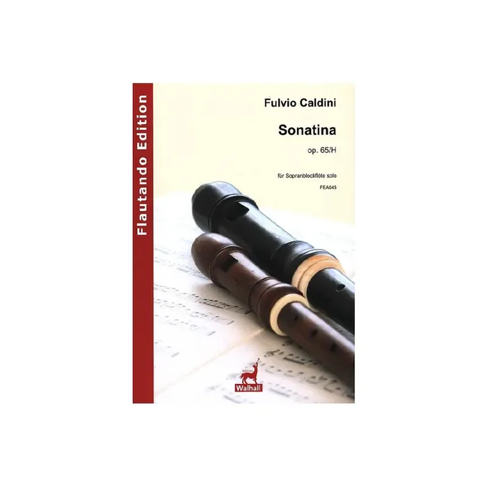 Sonatina op.65/H