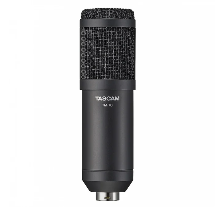 Tascam TM-70 Dynamisches Mikrofon für Podcasting und Berichterstattung