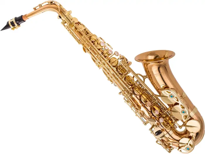 Yanagisawa A-WO2 Altsax Bronze Professional